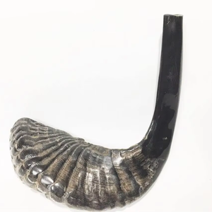 Shofar Kosher Hecho en Israel, Cuerno de Carnero Natural Tallado en Estilo Animal, Ecológico para Tocar y Fines Religiosos - Product Image 1