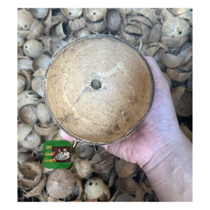 CÁSCARAS DE COCO NATURALES PARA LÁMPARA ARTESANAL FÁBRICA DE CARBÓN Y BIOCHAR EXPORTACIÓN VIETNAM - Product Image 3