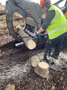 Bûches de noyer noir rondes de qualité supérieure, contreplaqué scié de haute qualité, bois excellent, 100% pur, prix compétitifs - Product Image 4