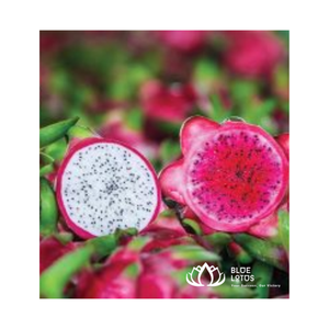 Fruta de dragón fresca de FARM Origin Vietnam al mejor precio de exportación con precio competitivo de + 84 931096022 vietnamita - Product Image 6