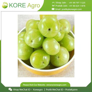Poudre d'extrait sec d'Amla 100% organique et pur Extrait d'herbes de fruits entiers de qualité alimentaire extrait par solvant pour les acheteurs mondiaux - Product Image 6