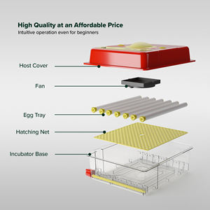 Mejor <span class=keywords><strong>Precio</strong></span> en el Mercado Incubadora <span class=keywords><strong>de</strong></span> <span class=keywords><strong>Huevos</strong></span> con Capacidad para 36 <span class=keywords><strong>Huevos</strong></span> <span class=keywords><strong>de</strong></span> Gallina - Product Image 6