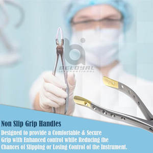 Instrumentos de cirugía oral Fórceps de extracción dental anterior Dentista de acero inoxidable Fórceps anteriores de acero inoxidable de alta calidad - Product Image 3