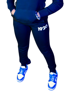 Zeta Phi Beta 1920 sororité grecque femmes 2 pièces brodé bleu blanc à capuche et pantalon de survêtement polaire survêtement ensemble survêtement - Product Image 3