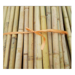 Poteaux de bambou naturel pour l'exportation, vente en gros de différentes tailles de poteaux de bambou poteaux de bambou naturel sec brut pour meubles - Product Image 6