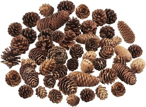 Pinecone Natural en precio al por mayor Pinecone Decoración navideña para decoración de habitaciones y fiestas - Product Image 2