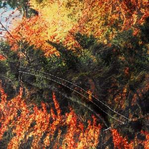 Sudadera con Capucha Extra Grande de Moda para Hombre, 100% Algodón, Estilo Urbano, Ecológica, con Logotipo Bordado, Estilo Hip Hop, Ropa Urbana Francesa - Product Image 5