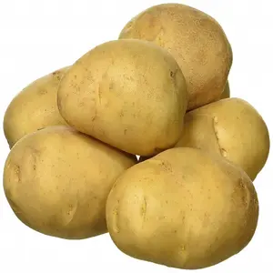 Pommes de terre fraîches biologiques 100% de qualité supérieure