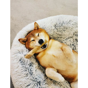 ¡OFERTA CALIENTE PRODUCTOS PARA MASCOTAS 2024! Palo para masticar mascotas Robusta café/100% duradero respetuoso con el medio ambiente café madera perro masticar juguetes Vietnam Robusta - Product Image 4