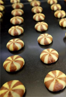 Machine automatique de fabrication de petits biscuits Chengtao pour usine