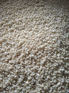 งาขาวปอกเปลือกคุณภาพสูง ผลิตจากธรรมชาติ เหมาะสำหรับทำขนม ของว่าง หรือเครื่องปรุงรส ราคาดี - Product Image 4