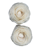 Sola Wood Flower diffuseur de roseau Parfum d'ambiance Fait à la main Sola Flower Echo Friendly Sola Flower Natural to aérer Freshen Reed