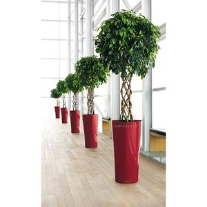 Jardinière de fleurs ronde en métal blanc enduit de poudre fait à la main écologique pour la décoration de la maison et du jardin - Product Image 5