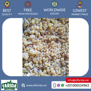 Fournisseur d'origine égyptienne de qualité standard Vente à chaud de gomme arabe de confiserie de qualité supérieure au prix d'usine direct - Product Image 3