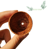 Pot Tanaman dan Pot Bunga dari Serat Kelapa, Ramah Lingkungan, Biodegradable, untuk Penggunaan Rumah & Taman, dari Produsen Eco2go Vietnam