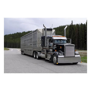 Camión ganadero bastante usado listo para el envío con calidad de construcción Premium - Product Image 2