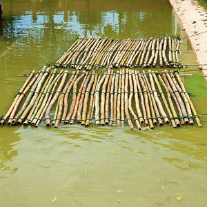 Pôles en bambou structurel fabriqués au Vietnam |   Taille personnalisée traitée |   Anti-termite - Product Image 2