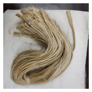 Matériel de fibre d'ananas brut du Vietnam pour la base de perruque tressée, les textiles et les marques de tissus éthiques - Product Image 6