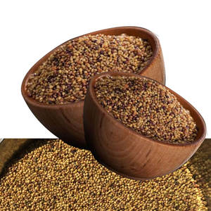 Berseูโคลเวอร์ | เหมาะสำหรับการเพาะปลูกในฤดูหนาว - Product Image 1