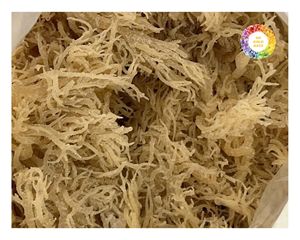 Algas secas Cottoni a granel de Vietnam Premium Eucheuma Seamoss para carragenina y fabricación de productos nutricionales - Product Image 1