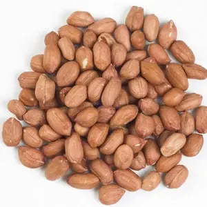 Roher Erdnuss Kerne mit kostenlosem internationalen Versand getrocknete bio-Ernüsse zu verkaufen billige hochwertige Java-Ernüsse