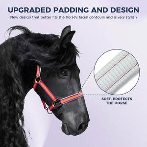Cabestro de caballo ajustable con relleno suave Hardware de aleación de zinc Control de correas de PP para entrenamiento y competiciones - Product Image 3