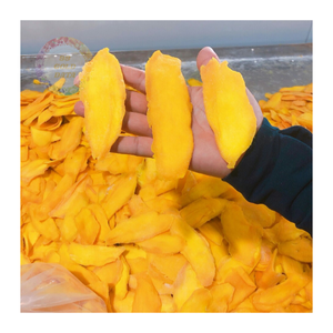 Leading Soft Dried Mango Exporter - Professional <b>Service</b> and Global <b>Logistics</b> Expertise - Product Image 1