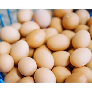 Suministro a granel Granja Huevos de mesa frescos Huevos de gallina marrón y blanco de primera calidad al por mayor - Product Image 4