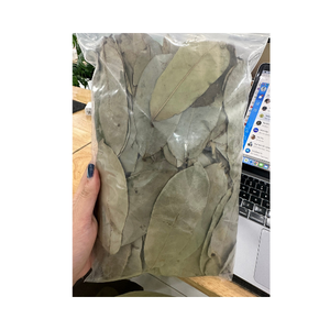 Hojas de Guanábana secas naturales/hojas de Graviola de Vietnam con precio barato y estándar de exportación - Product Image 5