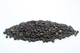 Graines de coton entières de haute qualité, qualité alimentaire, non OGM, 40-600 cm, pour le jardinage, fabriquées aux Pays-Bas, modèle WEF34TRF - Product Image 4