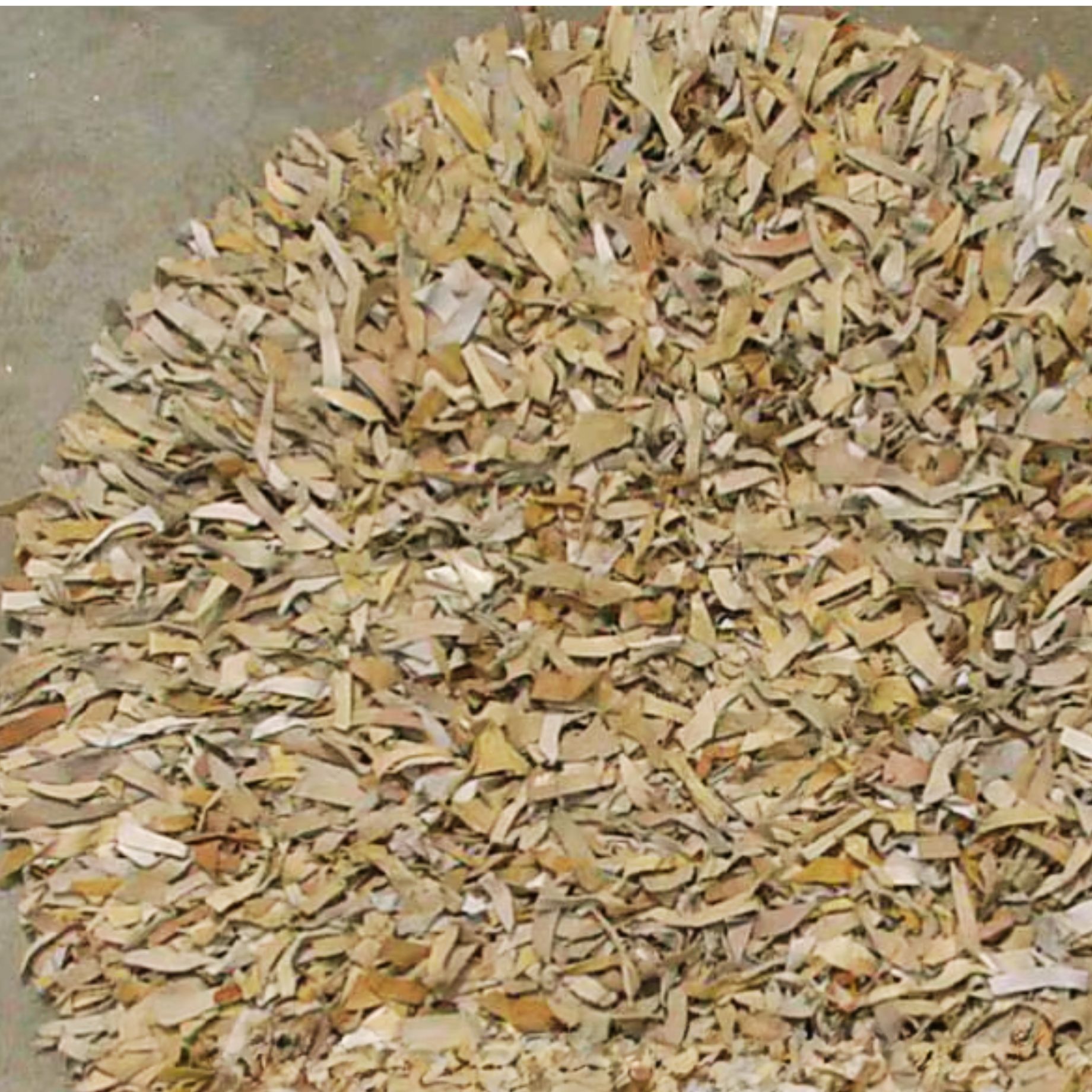 สีน้ำตาล