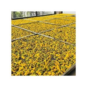 Bourgeons de chrysanthème séchés purs de qualité supérieure préparés en toute sécurité pour une tisane apaisante et une délicieuse garniture culinaire - Product Image 3