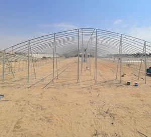 Tuberías de acero galvanizado en caliente, cubiertas con película de PE, de gran tamaño y bajo costo, para invernaderos agrícolas. - Product Image 6
