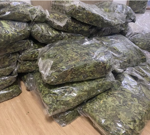 ใบมะละกอตากแห้งจากเวียดนาม - Product Image 5