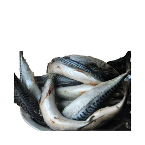 ปลาทูแช่แข็ง/ปลาขนาดคิงส์และปลาทูสเปน + บรรจุภัณฑ์ตามสั่ง - Product Image 2