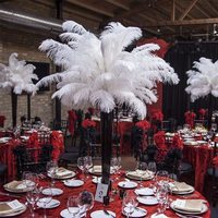 Plumes d'autruche blanches volumineuses de 60 à 65 cm pour événements, fêtes, centres de table de mariage, décorations de carnaval