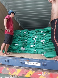 Arabica Green <b>Coffee</b> <b>Beans</b> Grade 1 New Crop From Vietnam Export to Middle East, EU Wholesale Factory - Product Image 4