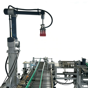 Sistema de Empaque Robótico Colaborativo de 6 Ejes con Capacidad de Carga de 20 kg para Cajas, Bolsas y Botellas - Product Image 1