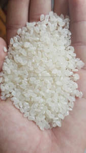 ข้าวญี่ปุ่นแบบเม็ดสั้นสำหรับ5% (ข้าวกลมสีทอง) ซูชิแบบแห้งริซ arroz riso Anna DO - Product Image 4