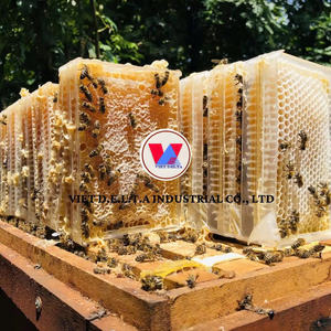 EXPORT GRADE NATURAL <b>RAW</b> HONEYCOMB SLAB | BULK <b>ORGANIC</b> BEEHIVE <b>HONEY</b> FOR WHOLESALE BUYERS - Product Image 4