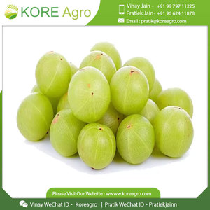 100% Natural Amla Indian Gooseberry Powder Mejor para hacer dulces Calidad alimentaria Amla Exportador - Product Image 2