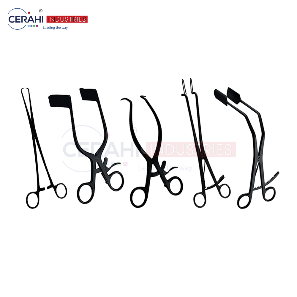 Yahudiy ayolning mushukining surati