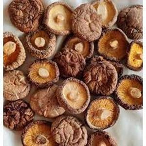 Offre Spéciale de champignons frais congelés à vendre à des prix raisonnables - Product Image 5