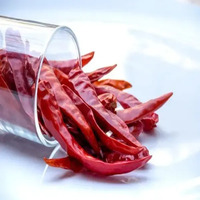 Offre Exceptionnelle Meilleur Prix Sanam S4 Assaisonnement Épicé de Haute Qualité Piment Séché Pur Naturel Inde Grade Supérieur Radiance Global