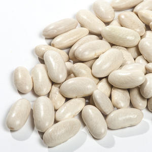 Frijoles Blancos Orgánicos Premium a Granel, Estándar de Exportación, para Grandes Compradores, Secados Naturalmente con Capacidad de Suministro Estable - Product Image 4