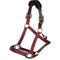 Weaver-licou de cheval en cuir et Nylon, réglable, avec plusieurs couleurs vives, rembourré
