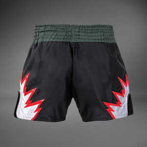 Pantalones cortos de entrenamiento Muay Thai personalizados ligeros - Product Image 3