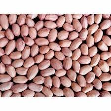 Cacahuetes Indios Premium TJ, Altos en Proteínas, Seleccionados a Mano, Limpios a Máquina, Envasados Higiénicamente, Refrigerio a Granel, Calidad de Exportación, Alimento Natural a Base de Nueces - Product Image 5