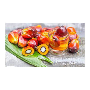 Huile de palme Vente en gros Haut fabricant nouveau Meilleur matériel Avec des tarifs bon marché - Product Image 6