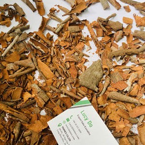 Corteza de Cassia rota lista para exportar (Tavak / Dar Seenee) -Alto contenido de aceite, calidad premium garantizada - Product Image 3